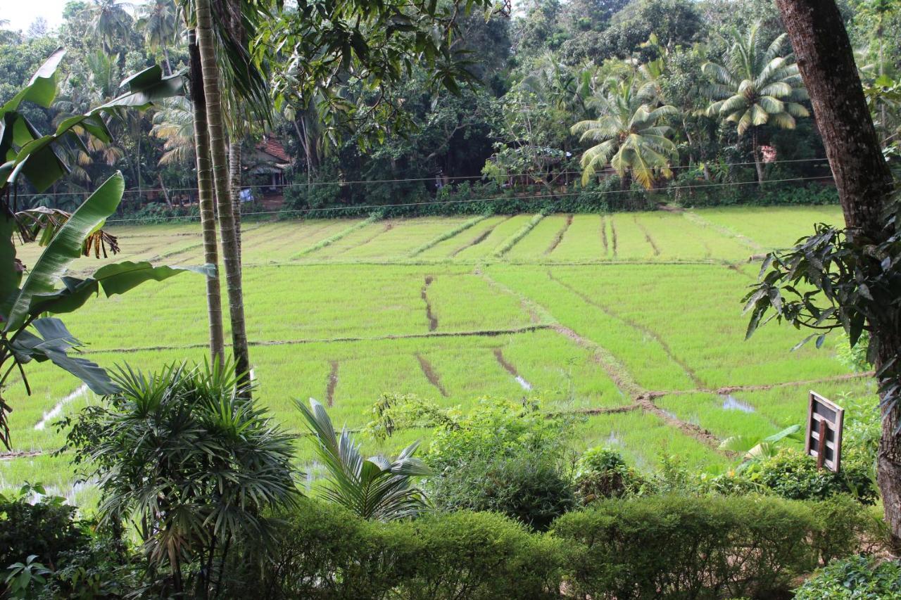 Paddy Field Villa Мідіґама-Іст Екстер'єр фото